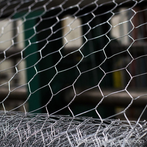 Hexagonal Chicken Wire Mesh Fence Hexagonal Poultry Netting Galvanized Chicken Wire Mesh Fence Supplier